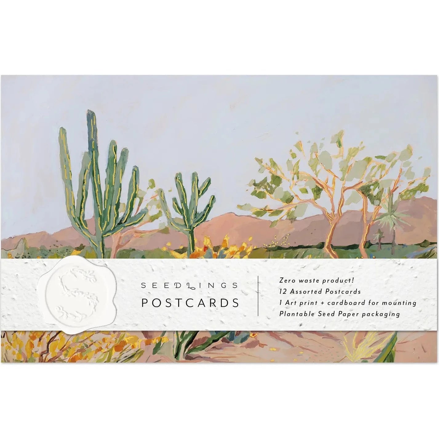 Seedlings | Cactus Postcard Set