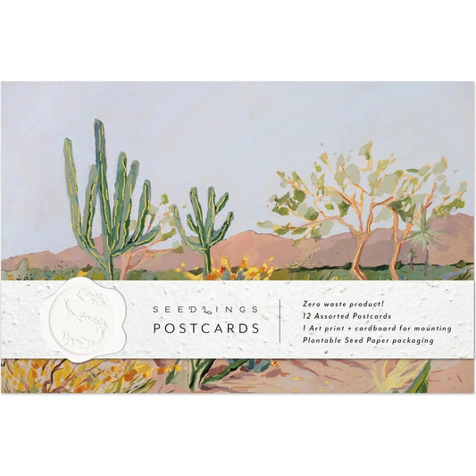 Seedlings | Cactus Postcard Set