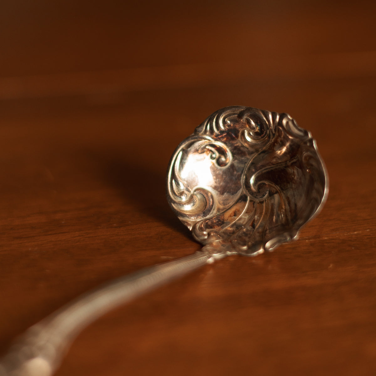 Silver Plated Gravy Ladle