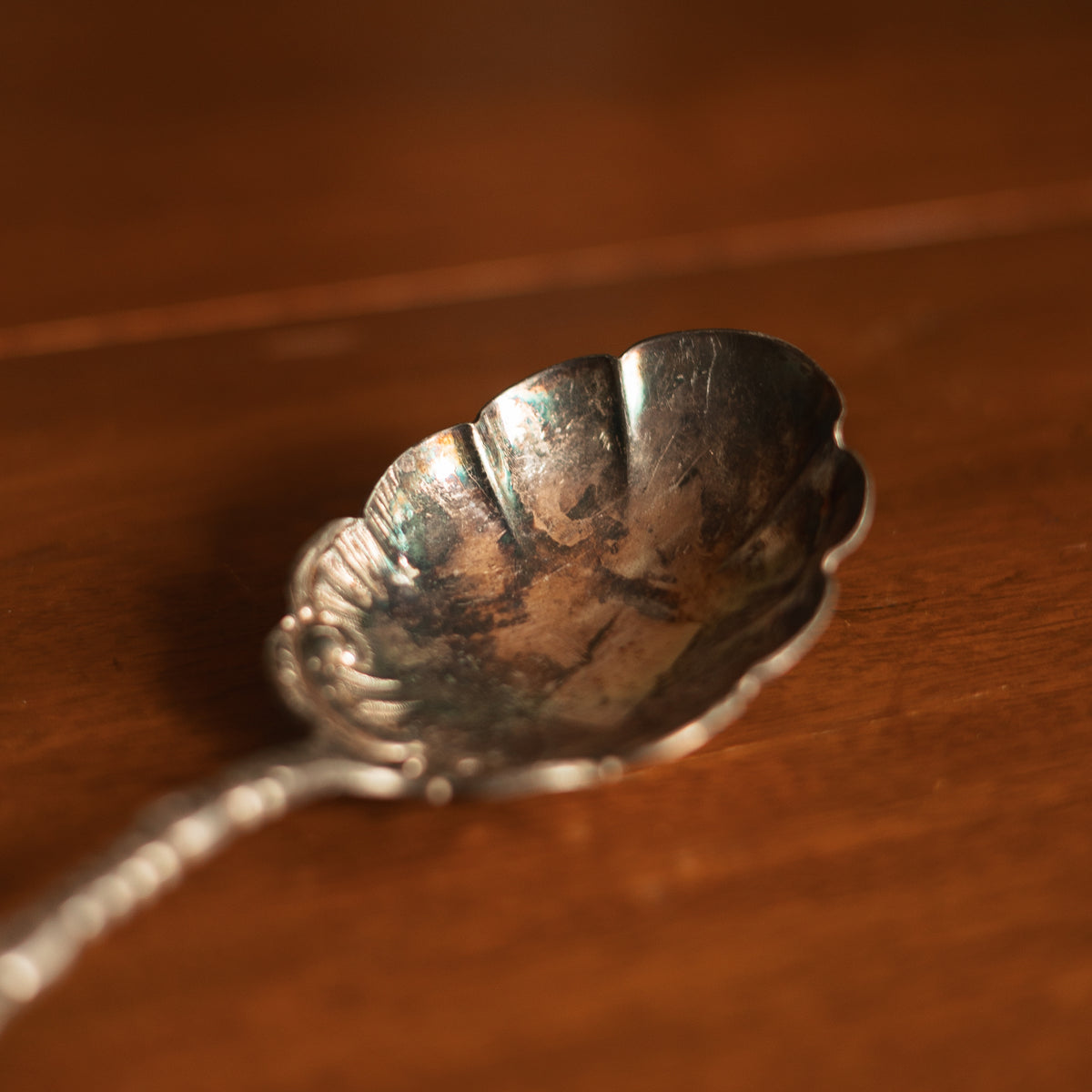 Large Silver Plate Serving Spoon