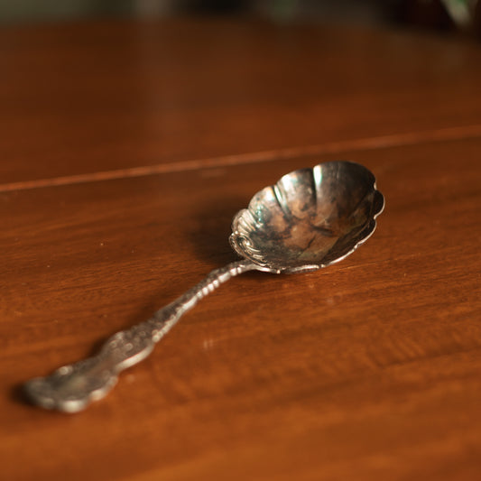 Large Silver Plate Serving Spoon