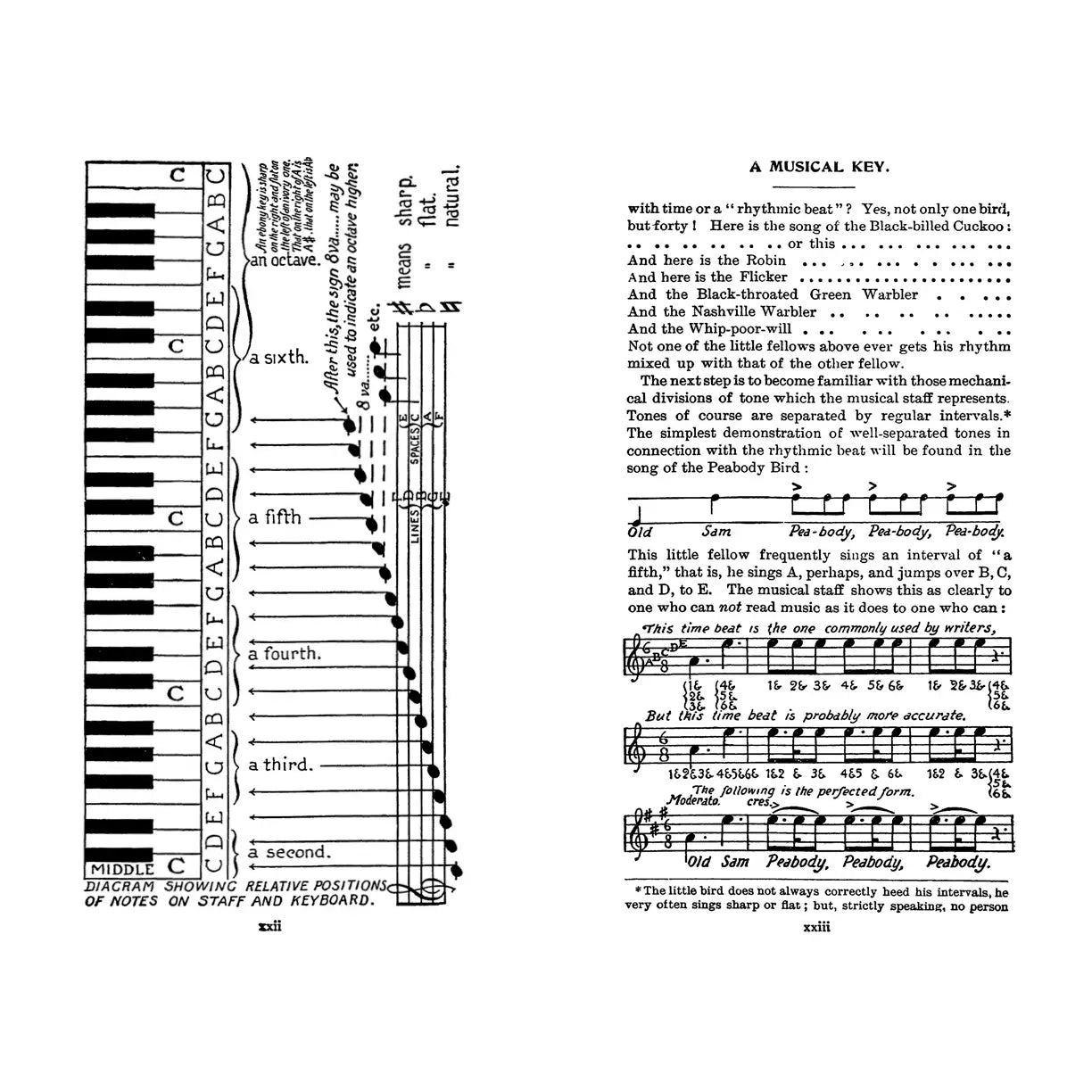 Field Books of Wild Birds and Their Music