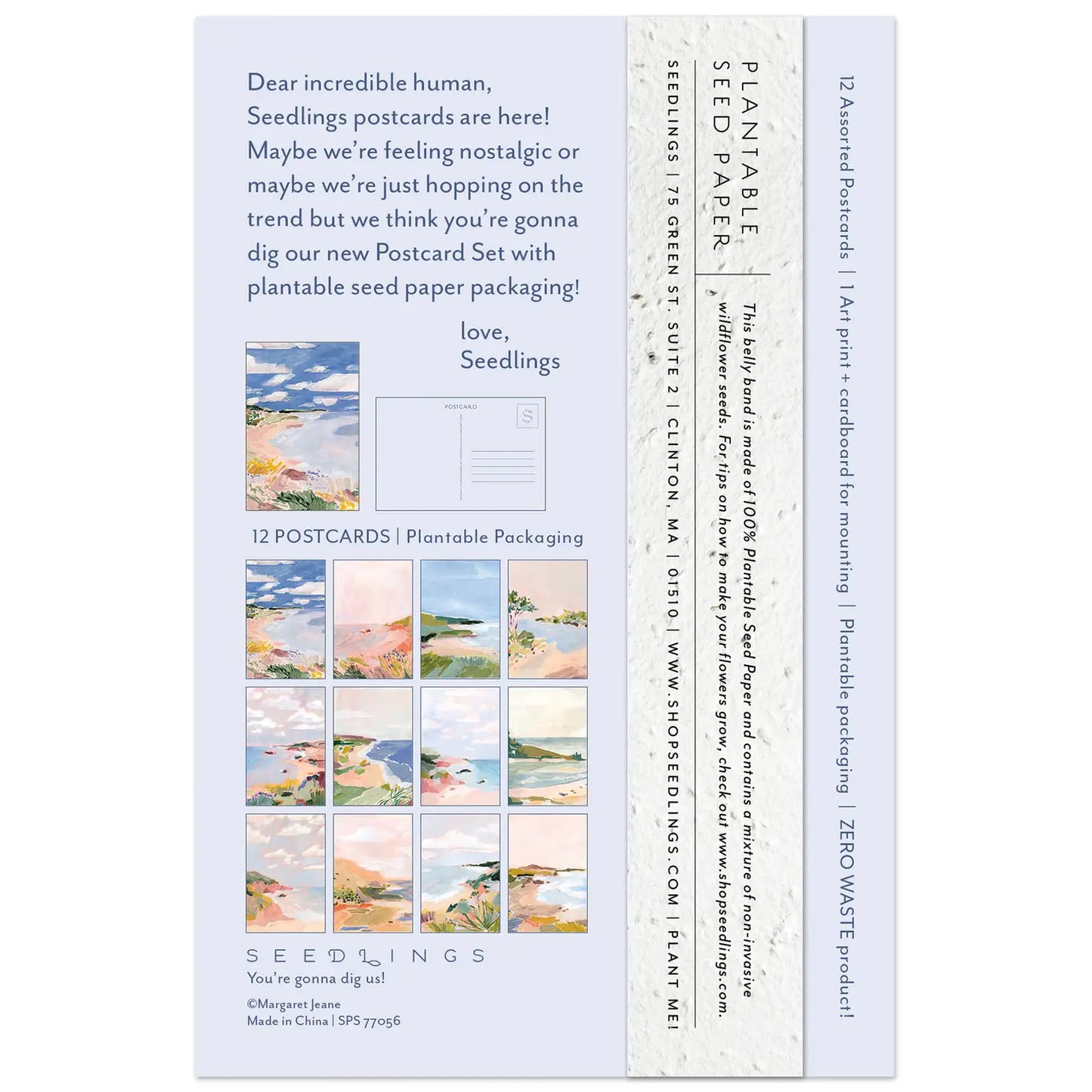 Seedlings | Floral Bluff Postcard Set