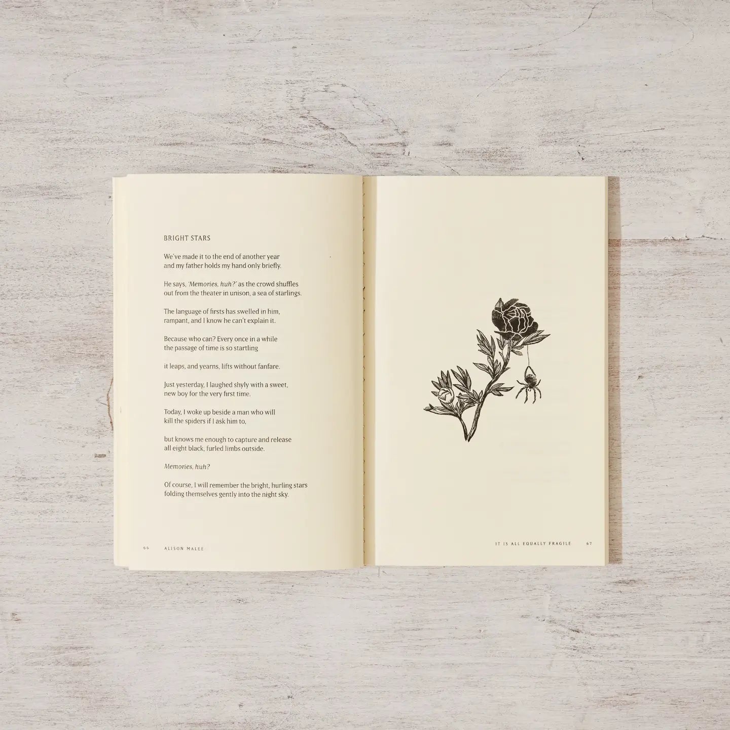 Thought Catalog | It's All Equally Fragile Poetry Book