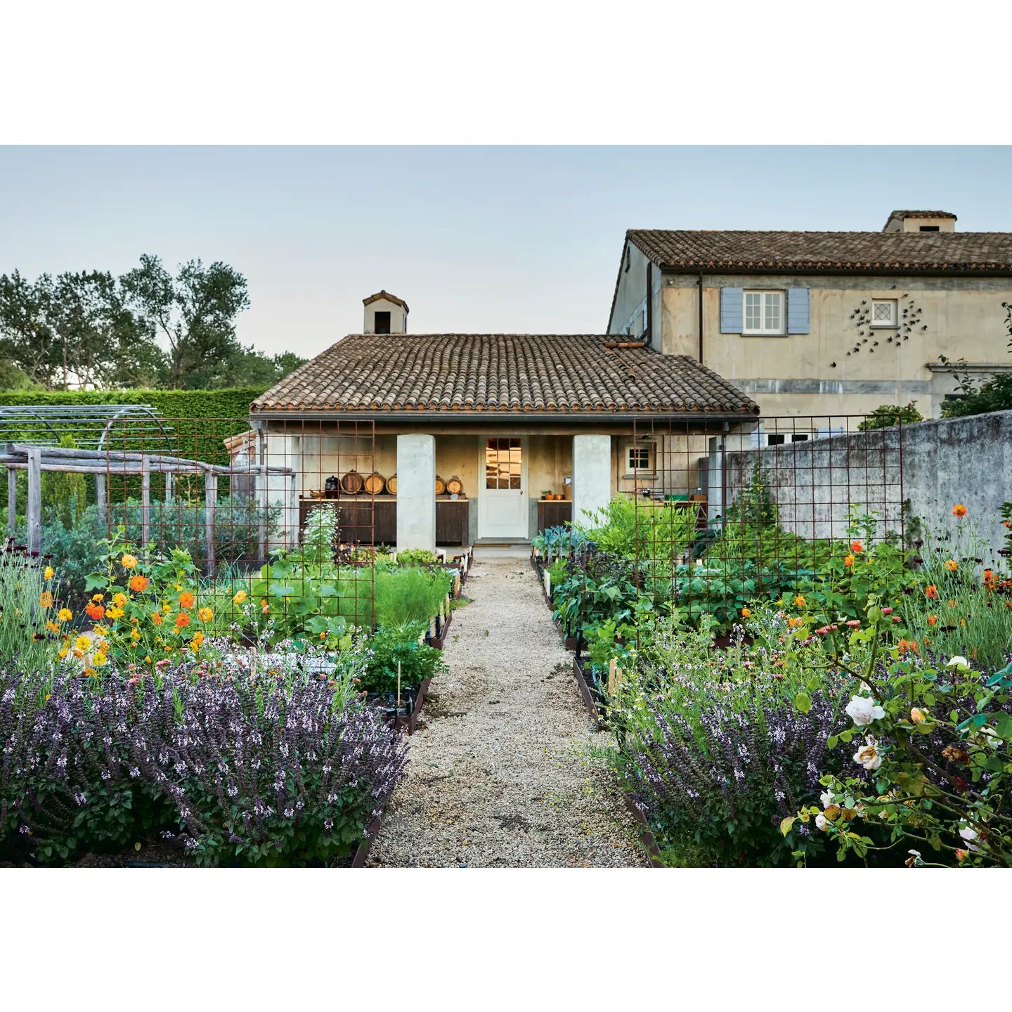 The Fragrant Flower Garden