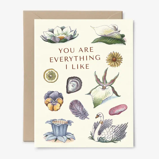 Hemlock House | You Are Everything I Like