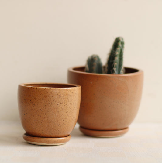Little Fire Ceramics | Classic Tabletop Planter in Speckled Clay, Caramel
