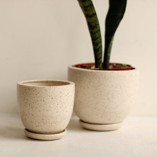 Little Fire Ceramics | Classic Tabletop Planter in Speckled Clay, Cream