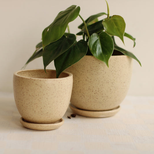 Little Fire Ceramics | Classic Tabletop Planter in Speckled Clay, Butter