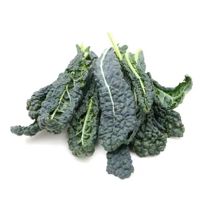 Schoepp Seeds | Kale Lacinato Heirloom Seed Packet