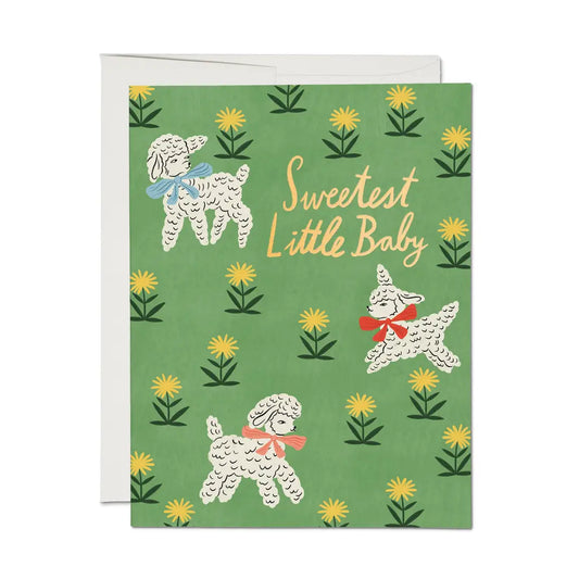 Red Cap Cards |  Little Lamb Baby Greeting Card