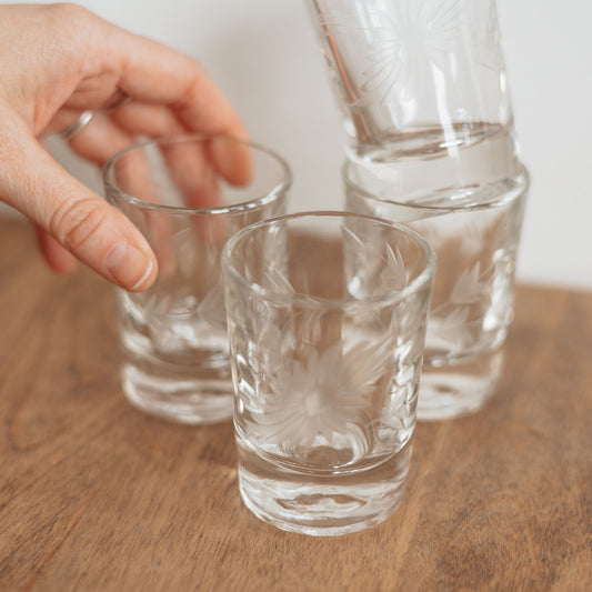 Heavy Bottomed Etched Sippers, set of 4