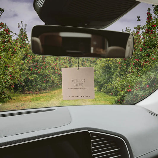 Sweet Water Decor | Mulled Cider Hanging Air Freshener