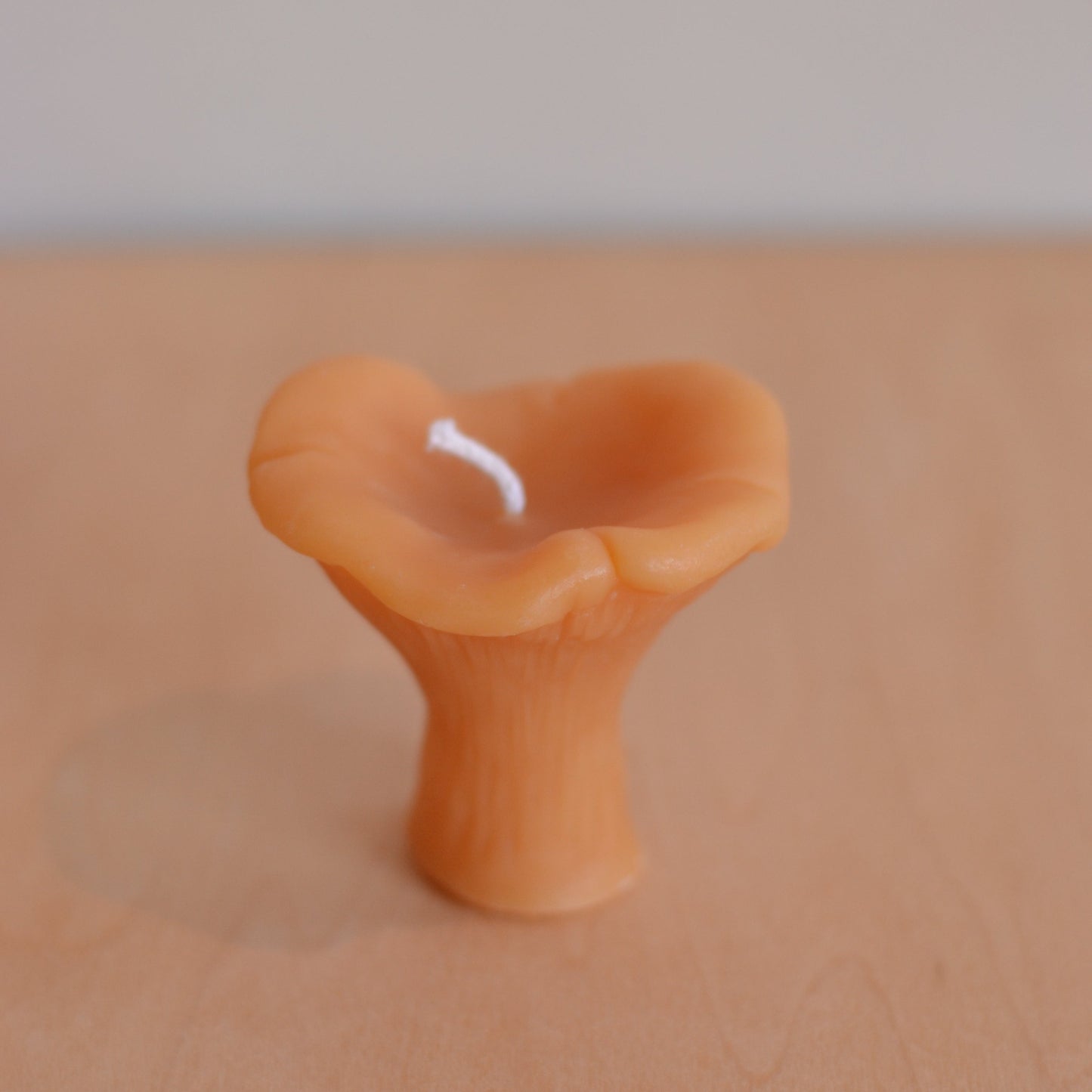Wicksburgh  | Chanterelle Mushroom Candle
