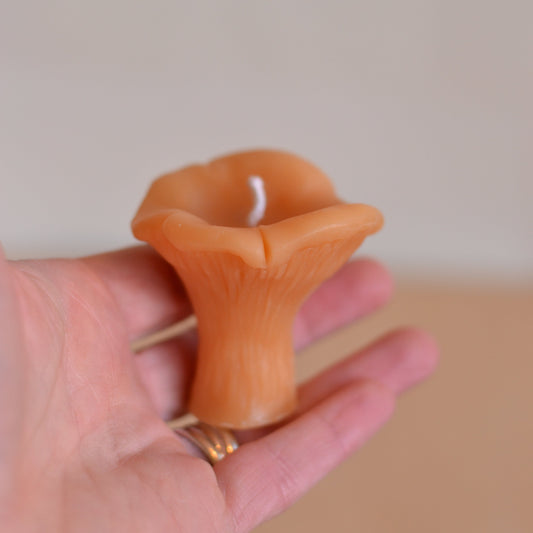 Wicksburgh  | Chanterelle Mushroom Candle
