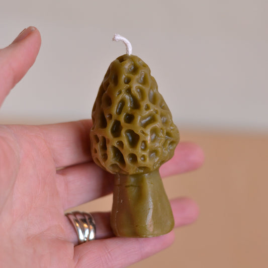 Wicksburgh  | Morel Mushroom Candle
