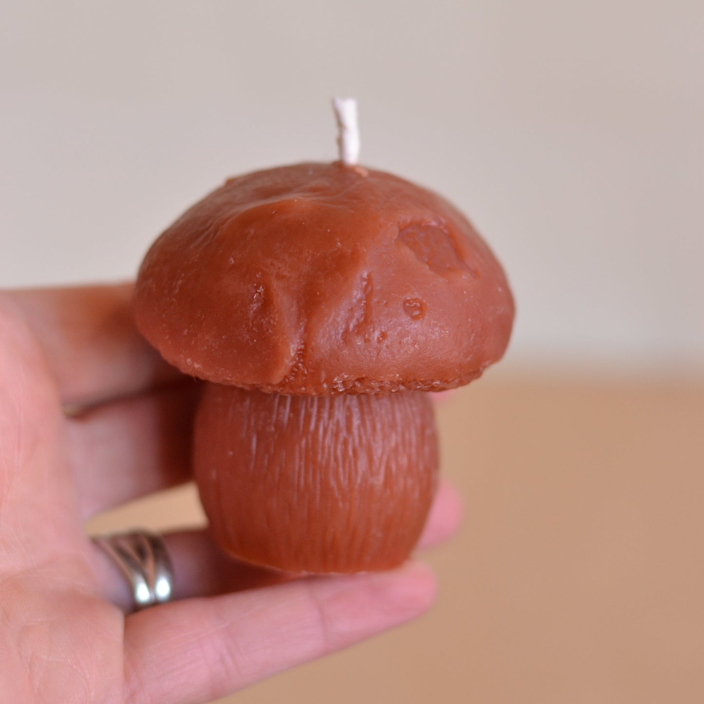 Wicksburgh  | Pennybun Mushroom Candle