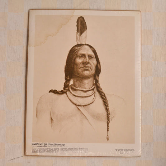 Vintage The First Americans Art Print, Northeast Indians