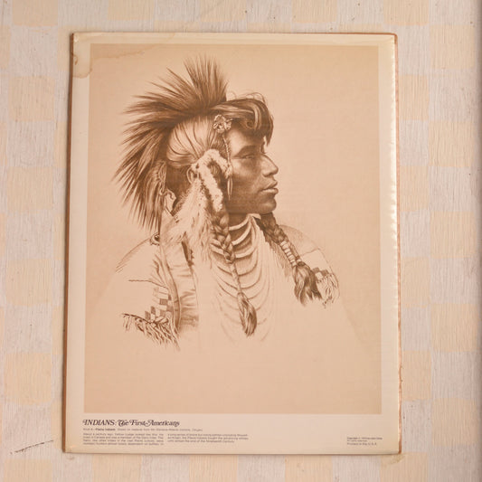 Vintage The First Americans Art Print, Plains Indians
