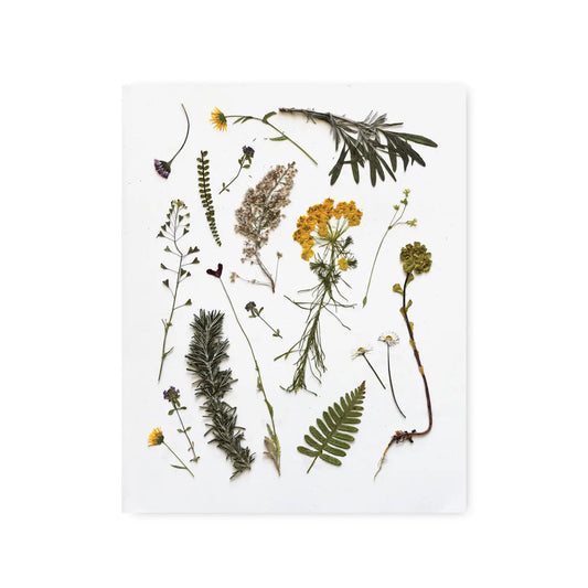 June & December | Pressed Olive Grove Pretties Art Print, 8 x 10