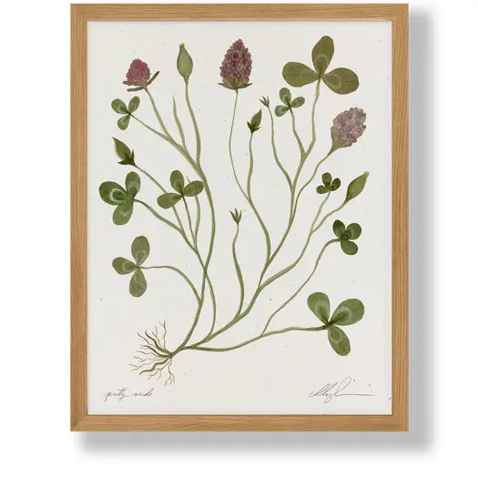 Cocoshalom | Pretty Weeds, 11 x 14 Print