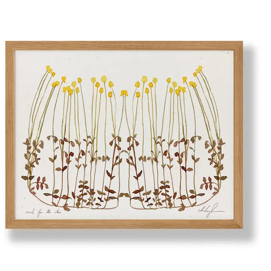 Cocoshalom | Reach for the Stars, 8.5 x 11 Print