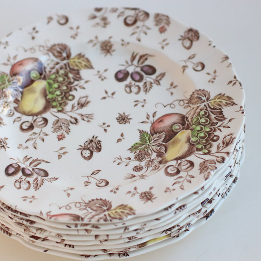 Winter Dish Set, Salad Plates, Set of 8