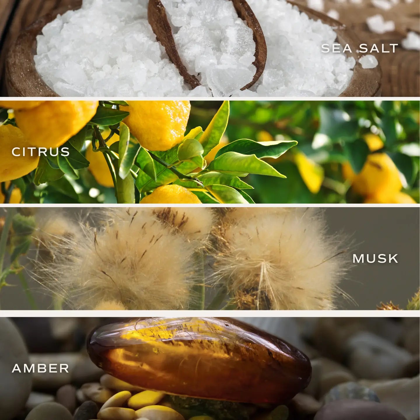 Sweet Water Decor | Salt & Sea Candle