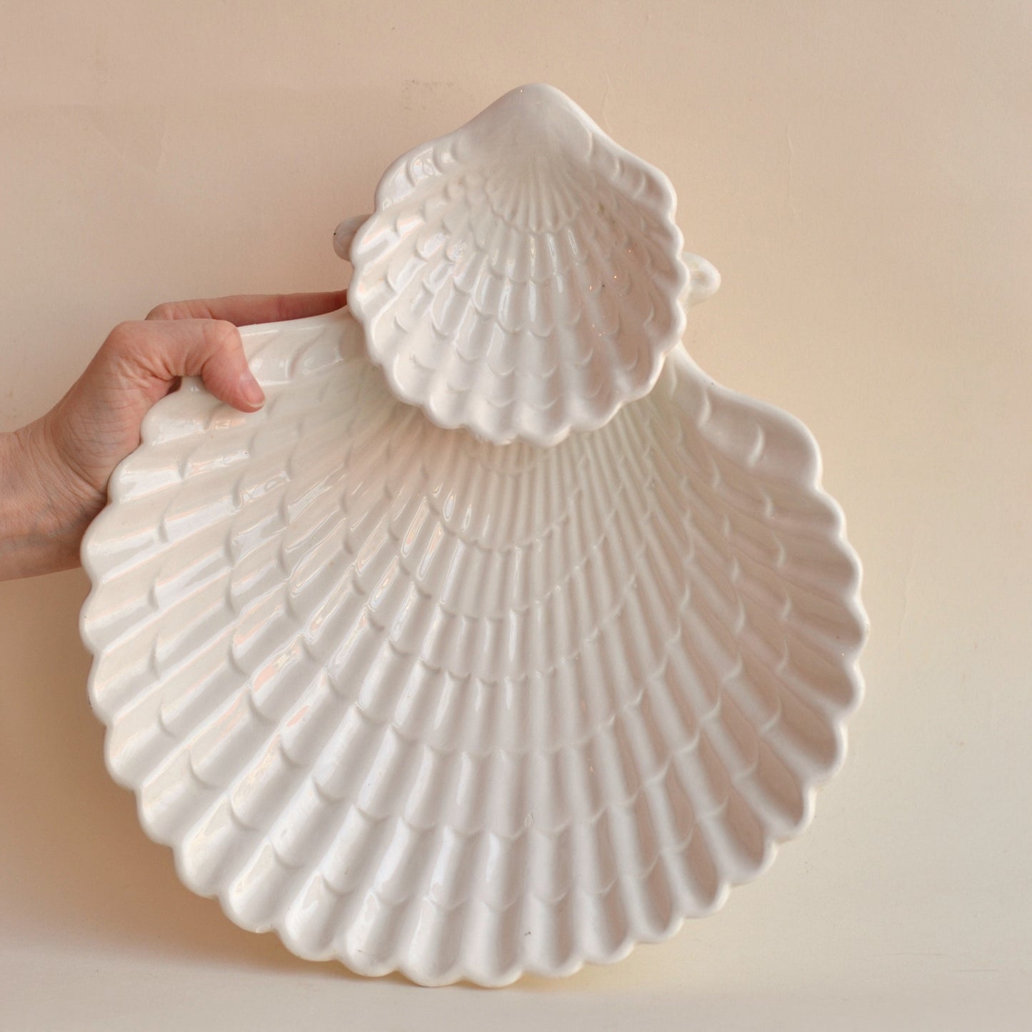 Seashell Chip and Dip Plate