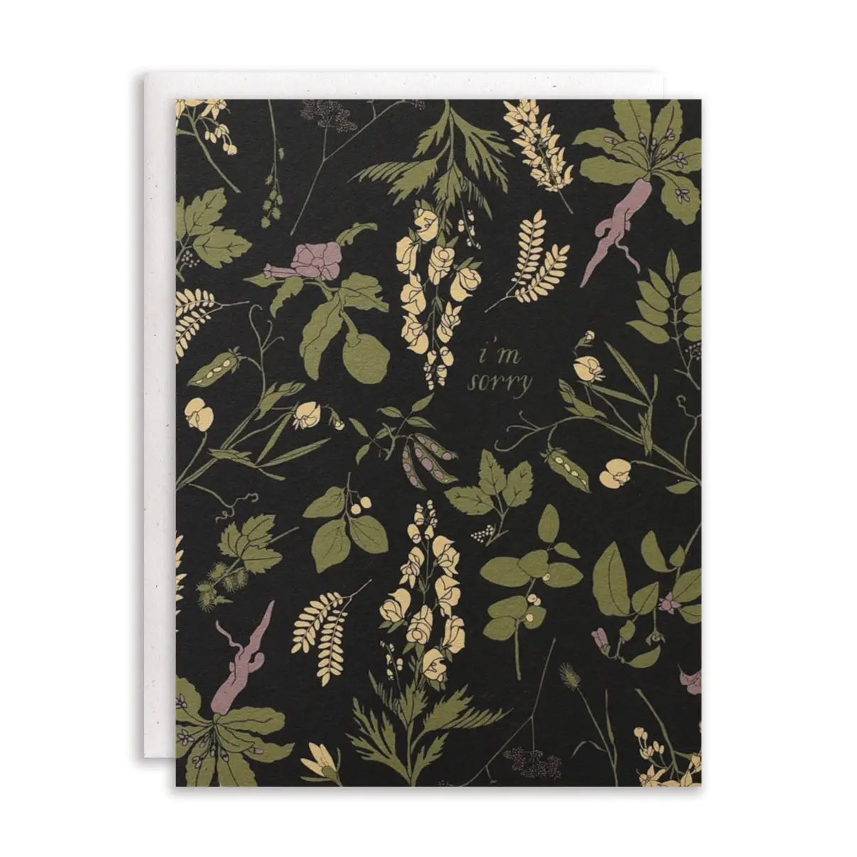 June & December | I'm Sorry Sympathy Card