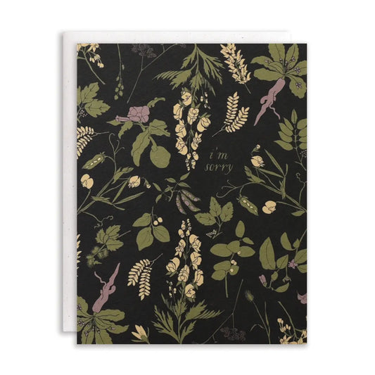 June & December | I'm Sorry Sympathy Card