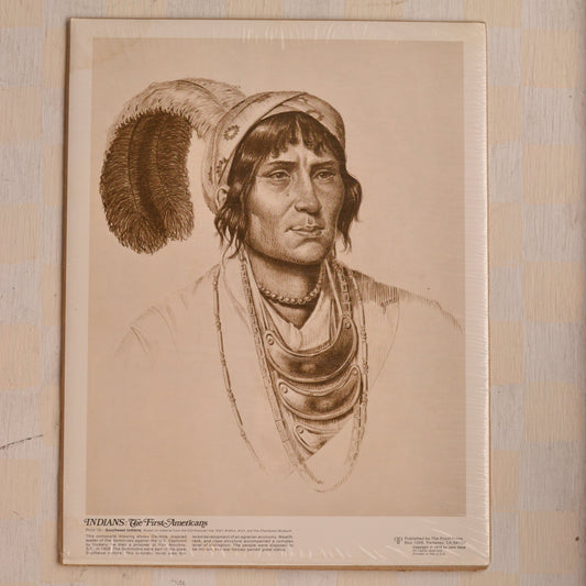 Vintage The First Americans Art Print, Southeast Indians