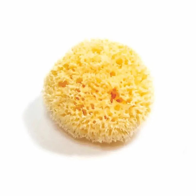 Smile Boutique | Natural Sea Sponge