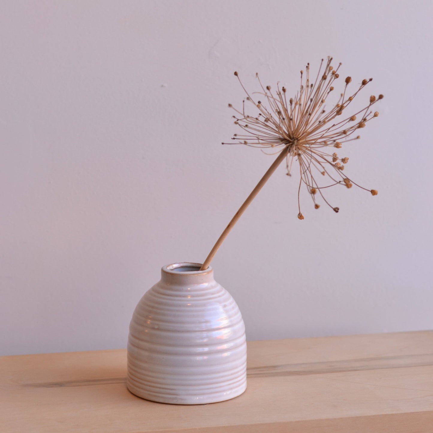 Dune Vases | Squat Ribbed Vase