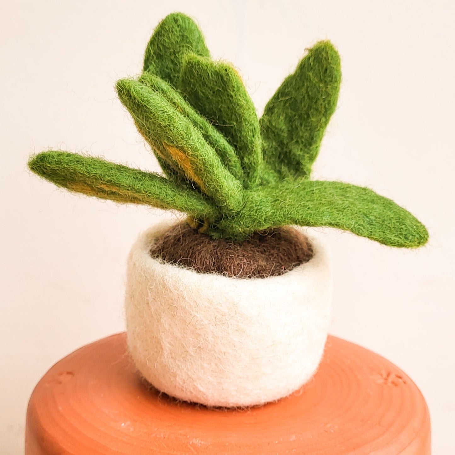 Felt So Good | Felt Miniature Plant Decoration