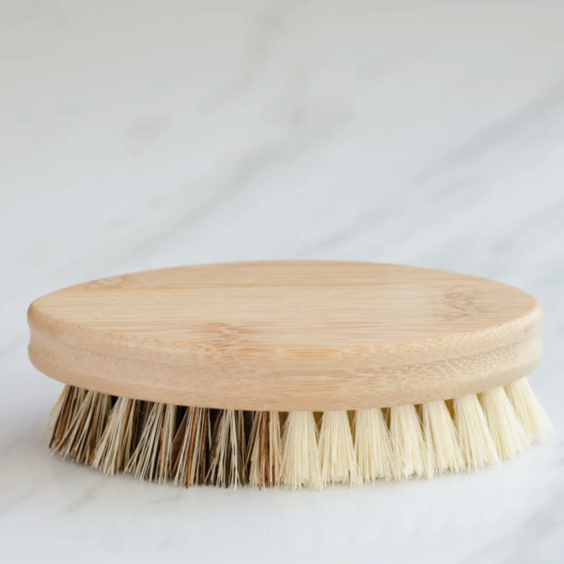 Earth Daughter | Duel Bristle Cleaning/ Veggie Brush