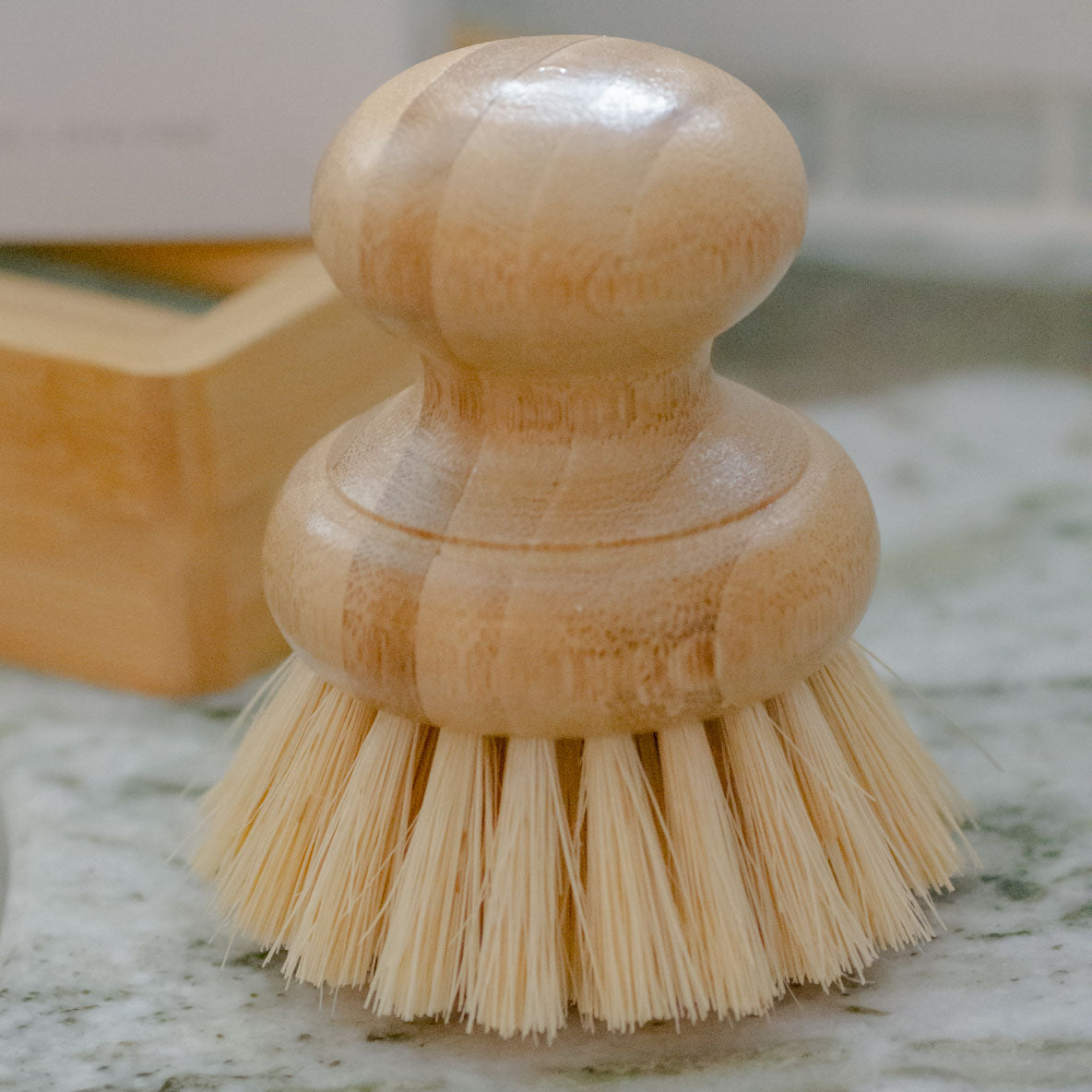 Casa Agave | Dish Washing Scrubber