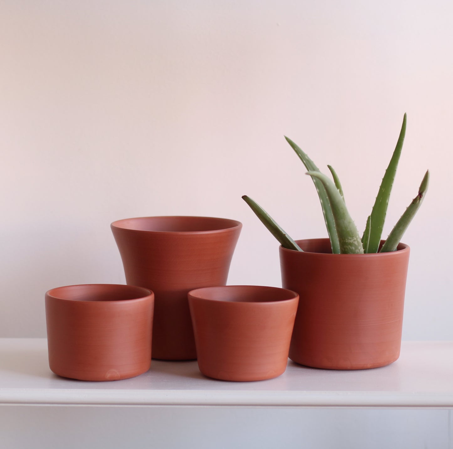 The Palmer Plant Company | Scout, Terracotta Planter