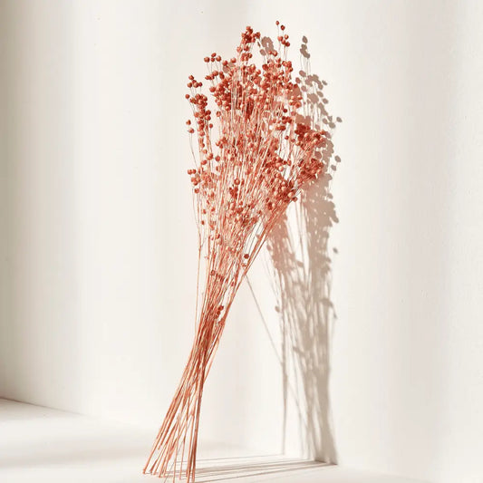 Stems | Flax Rin Flower in Pink