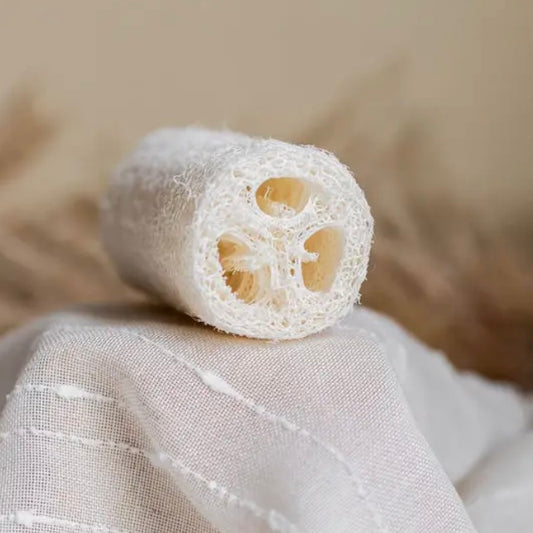 Waste Less Shop | Natural Loofah Sponge